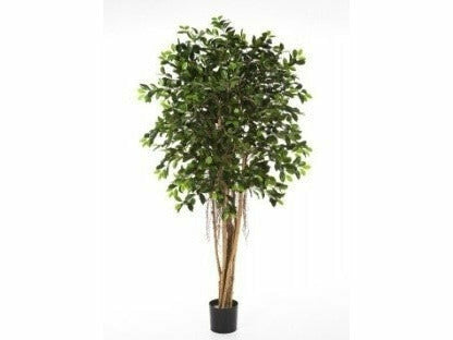 Chic Home Limoviikuna tekokasvi 180 cm - Huonekalukauppa.net