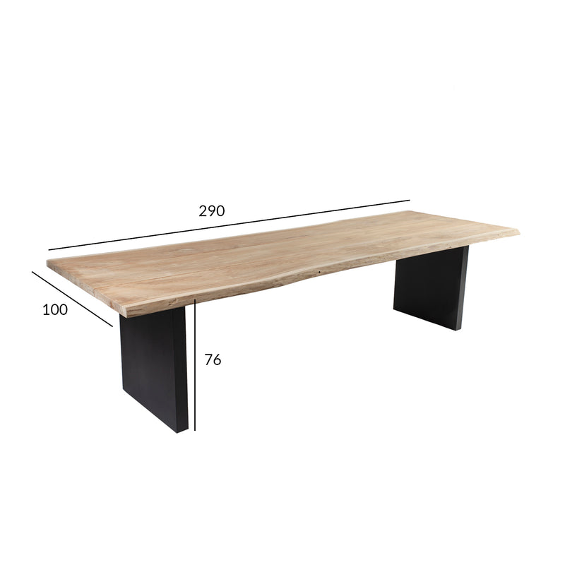 Table ROYAL 290x100xH76cm, teak - kuva 2