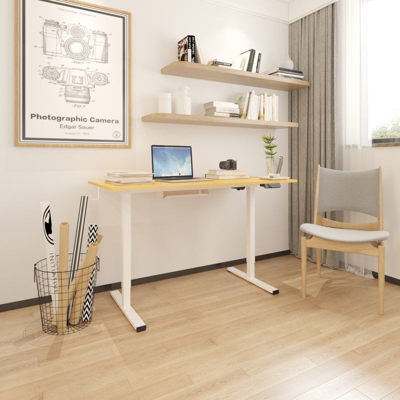 Desk ERGO with 1 motor 120x60xH73-121cm, oak/white - kuva 8