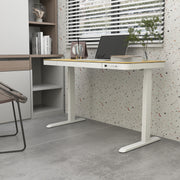 Desk ERGO with 1 motor 120x60xH72-121cm, oak/white - kuva 9