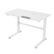 Children's desk ERGO KID with 1 motor 112x60xH56-80cm, white - 18712