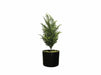 Chic Home Sypressi tekokasvi 42 cm. - Huonekalukauppa.net