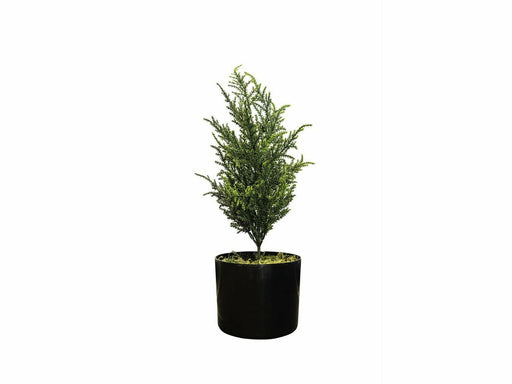 Chic Home Sypressi tekokasvi 42 cm. - Huonekalukauppa.net